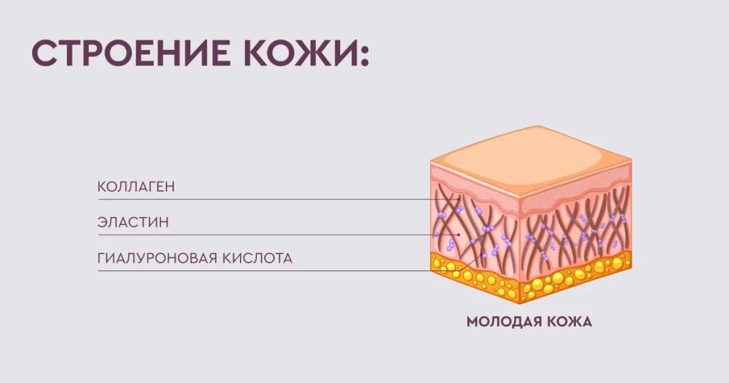 гиалуроновая1